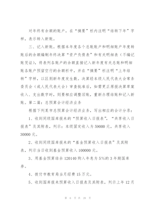 总预算会计工作总结(多篇).docx