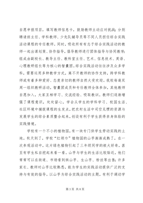 农村小学综合实践活动 (3).docx