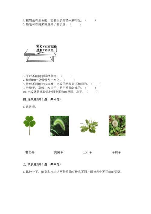 教科版小学一年级上册科学期末测试卷附参考答案【巩固】.docx