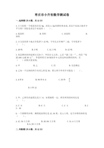 枣庄市小升初数学测试卷推荐.docx