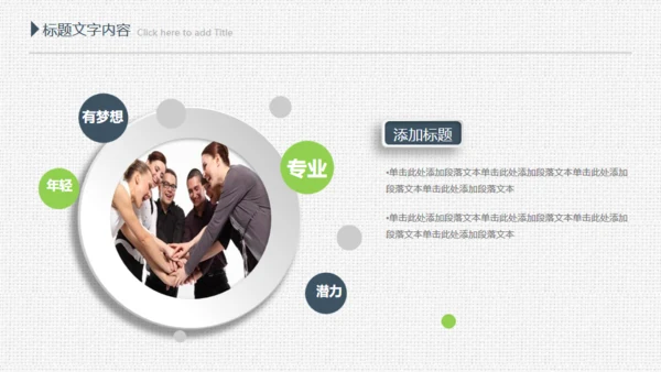 项目评估工作总结布纹质感通用PPT模板