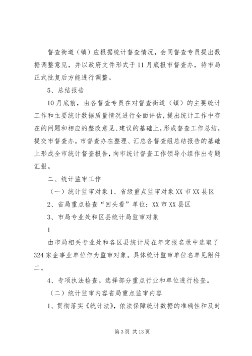 统计督查、监审工作计划.docx