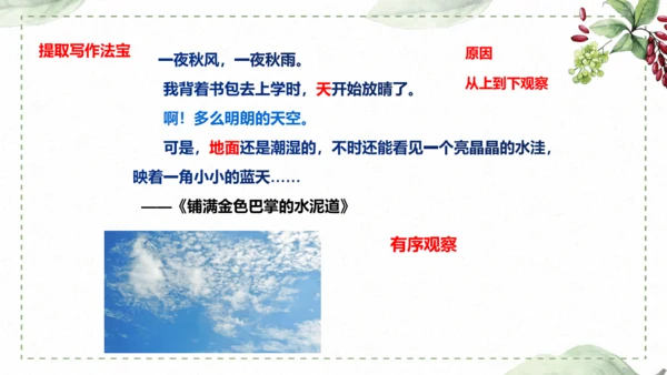 5 《铺满巴掌的水泥道》仿写指导课件