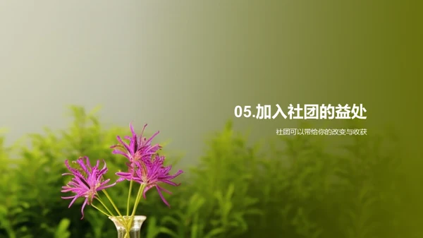 社团力量探索