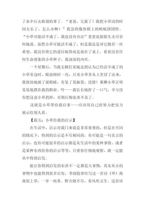 小草给我的启示作文.docx