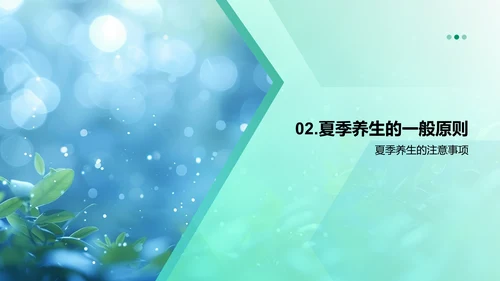 大暑健康养生报告PPT模板