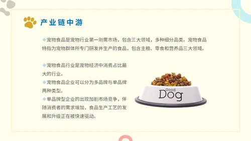 简约实图狗宠物经济行业前景分析报告汇报模板