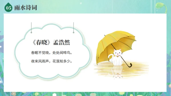 雨水节气春雨发芽背景通用PPT模板