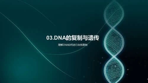 DNA探秘之旅