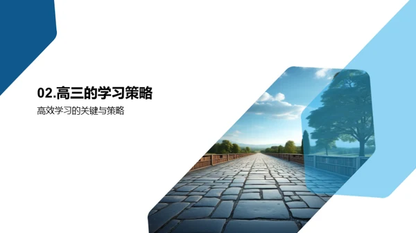 高三，共筑未来之路