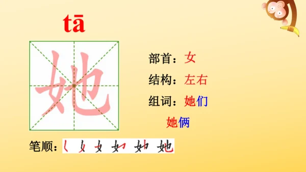 3 植物妈妈有办法  课件