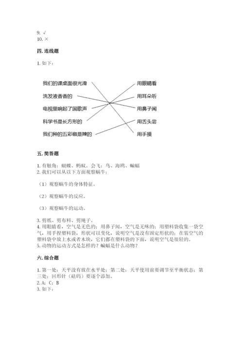 教科版一年级下册科学期末测试卷【轻巧夺冠】.docx