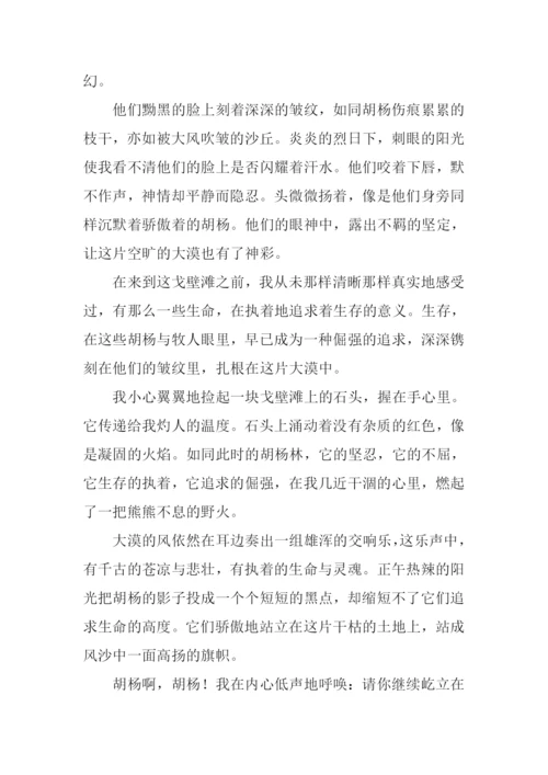 屹立追求的高度作文1000字.docx