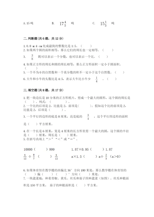 小学六年级数学上册期末考试卷含完整答案【夺冠系列】.docx