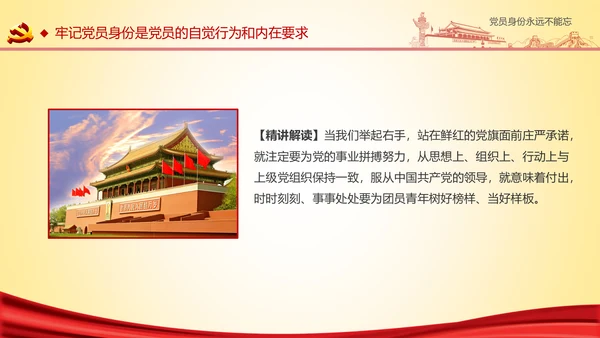 党员身份永远不能忘做合格党员学习教育PPT
