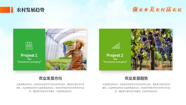绿色简约农村现代化乡村建设农业发展ppt模板