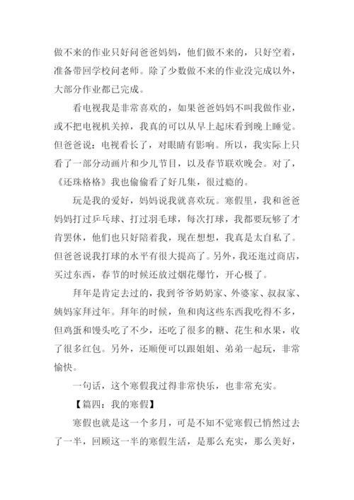我的寒假作文600字.docx