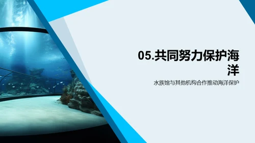 海洋守护：水族馆的角色