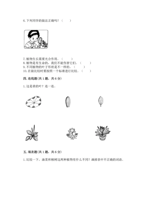 教科版一年级上册科学期末测试卷含答案【实用】.docx