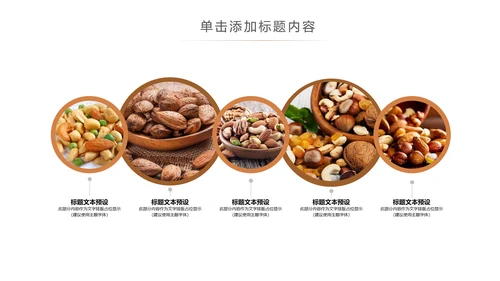 休闲美食美味坚果干果宣传画册PPT模板