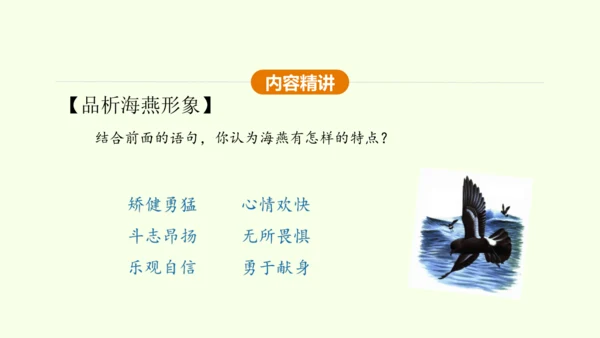 第4课 海燕 课件(共31张PPT)-【课堂无忧】新课标同步核心素养课堂