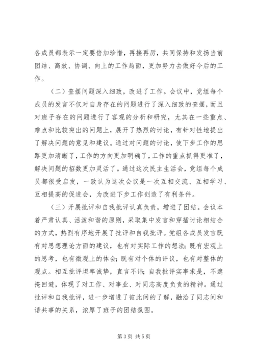 人民政府党组民主生活会情况的报告.docx