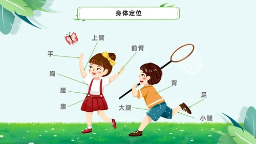 绿色小清新淡雅简约身体器官知多少幼儿园医学科普课件PPT