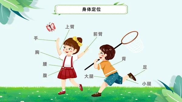 绿色小清新淡雅简约身体器官知多少幼儿园医学科普课件PPT