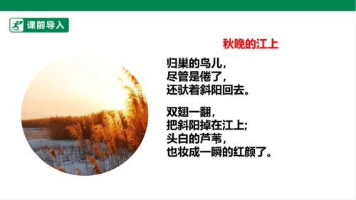 3.现代诗二首 秋晚的江上 课件