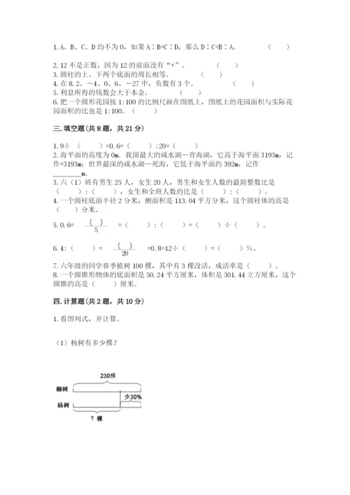南阳市镇平县六年级下册数学期末测试卷a4版.docx