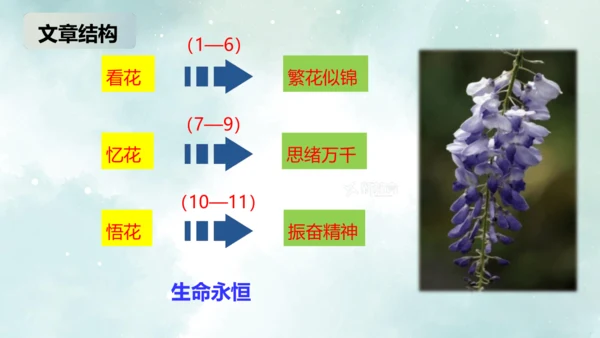 第18课 紫藤萝瀑布 课件(共27张PPT)