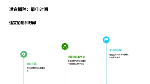 玉米种植新视角