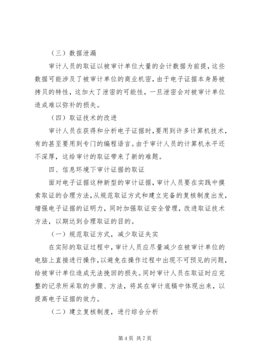信息化环境下审计证据取证.docx