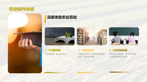 农业劳动之美