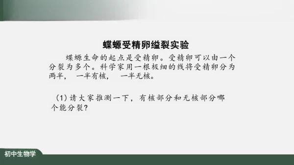 2.1.4  细胞的生活 课件（共26张PPT）