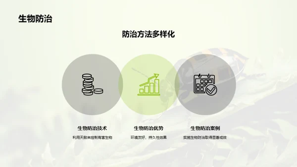 绿色防控：林业生物防治