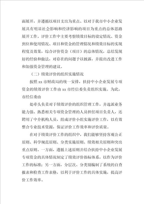 扶持中小企业发展专项资金绩效评价报告