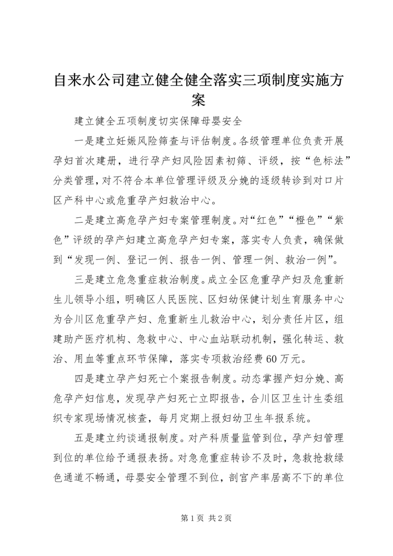 自来水公司建立健全健全落实三项制度实施方案 (5).docx