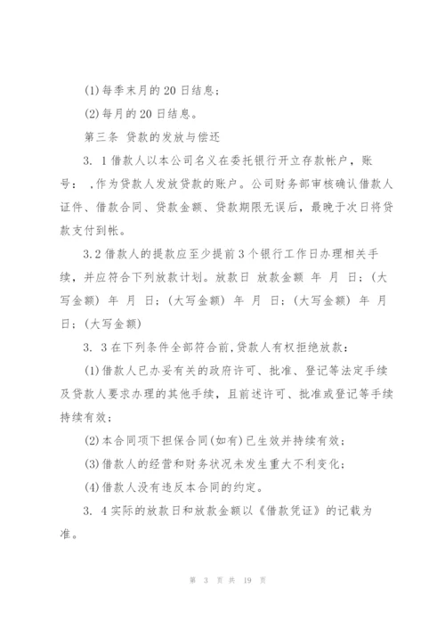 个人小额贷款借款合同模板.docx