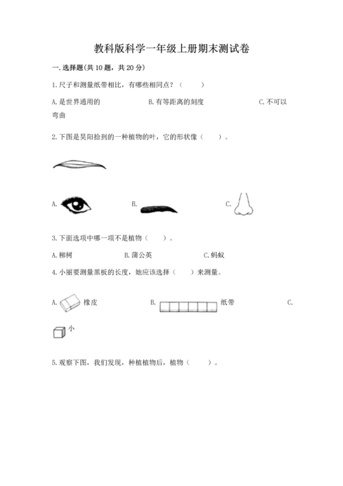 教科版科学一年级上册期末测试卷（全国通用）.docx