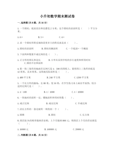 小升初数学期末测试卷精品（各地真题）.docx