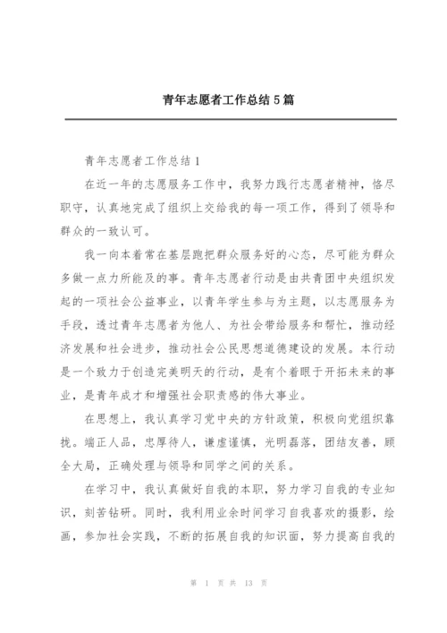 青年志愿者工作总结5篇.docx