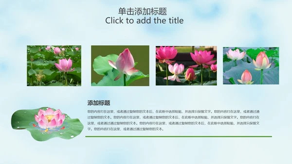 清新淡雅中国风荷花动态PPT模版