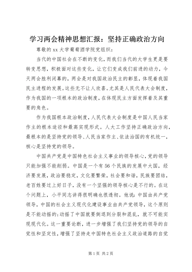 学习两会精神思想汇报：坚持正确政治方向.docx