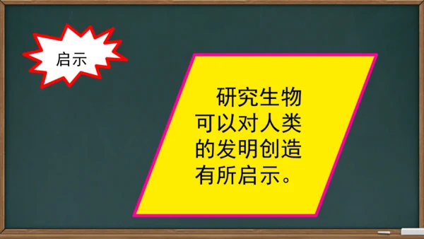 6 夜间飞行的秘密（课件）