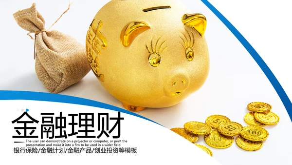 欧美大气金融理财投资银行保险PPT模板
