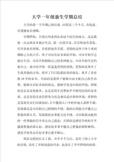 大学一年级新生学期总结