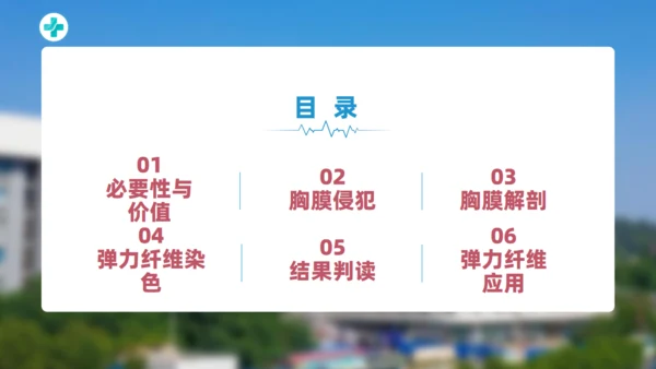 非小细胞肺癌的胸膜侵犯医学课件通用PPT模板