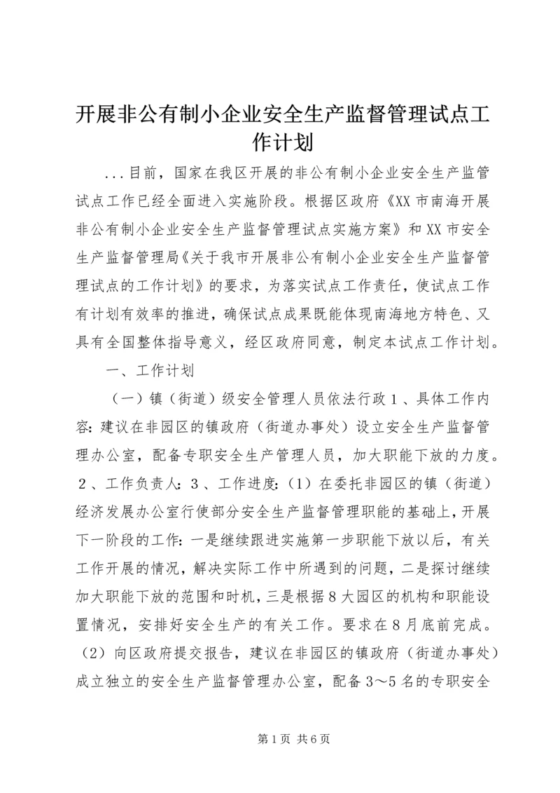 开展非公有制小企业安全生产监督管理试点工作计划 (4).docx