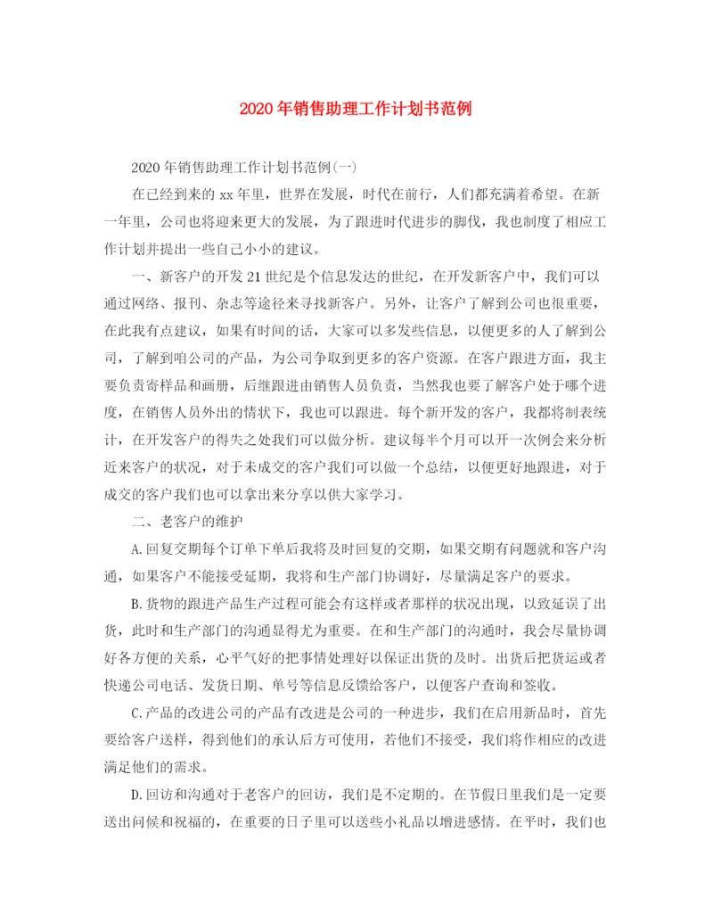 精编之年销售助理工作计划书范例.docx